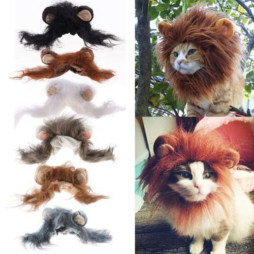Top Pet Costumes